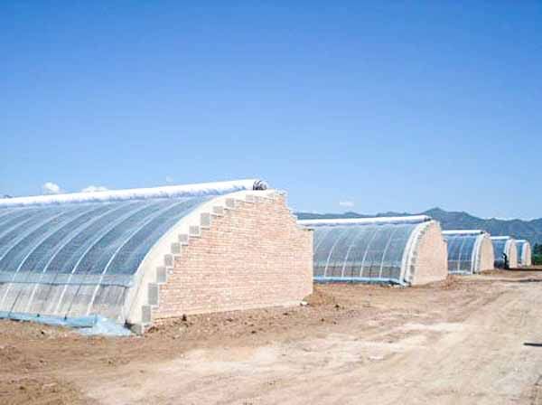 溫室大棚建造技術(shù)知識