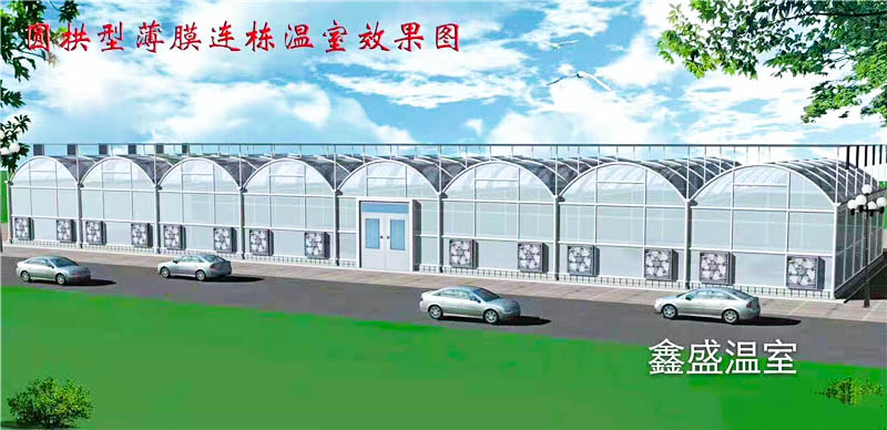 智能連棟溫室